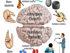 Déficit de atención en la edad adulta Déficit de atención en la edad adulta
