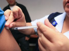 Influenza AH1N1, información básica Influenza AH1N1, información básica