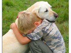 Beneficios de las mascotas en los niños Beneficios de las mascotas en los niños