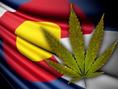 Inicia la venta legal de marihuana en Colorado Inicia la venta legal de marihuana en Colorado