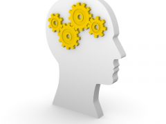 Cómo fortalecer el cerebro Cómo fortalecer el cerebro